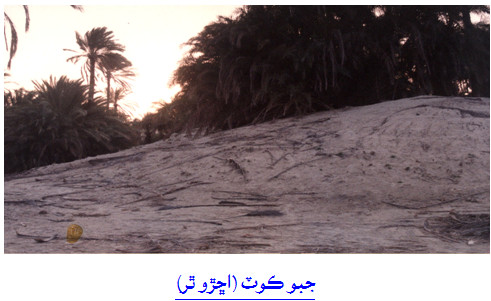جبو ڪوٽ